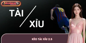 Kèo Tài Xỉu 2.5 – Hướng Dẫn Cách Chơi Và Soi Kèo Hiệu Quả